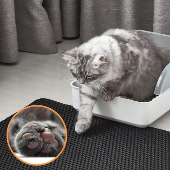 PawGuard™ - Two Layer Cat Litter Mat
