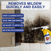 MoldZero™ - Mold Removal Spray