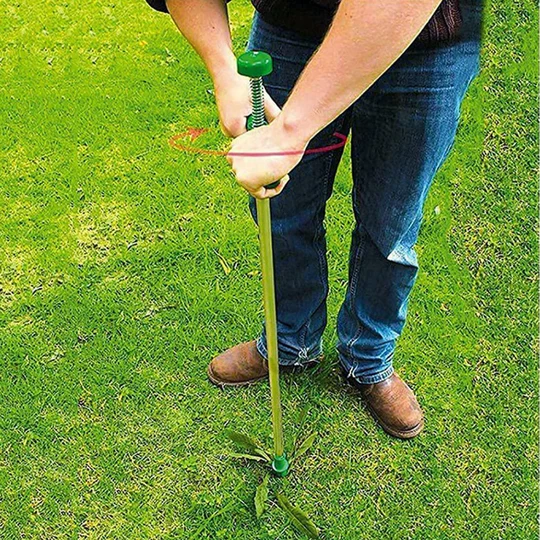 TerraRoot™ - Long Handled Weed Remover